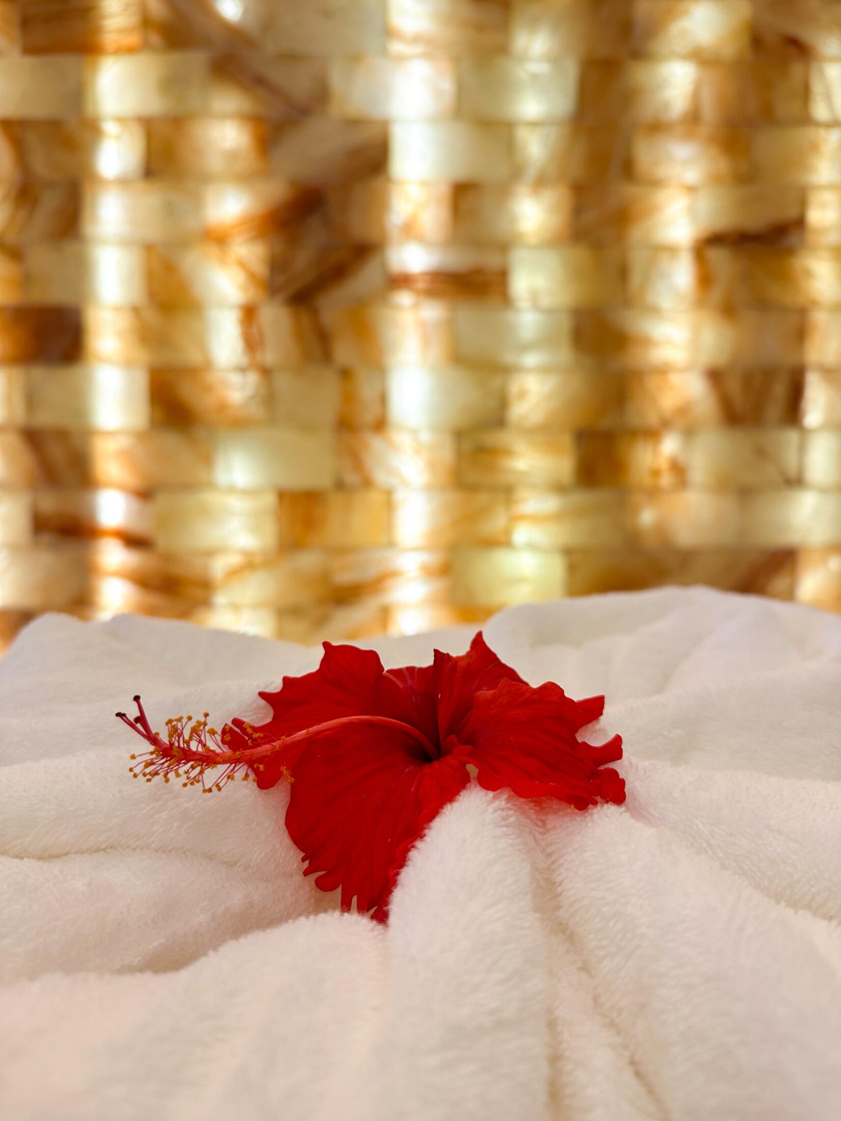 Wellness and relaxation setting at RIYAZ Spa Langkawi